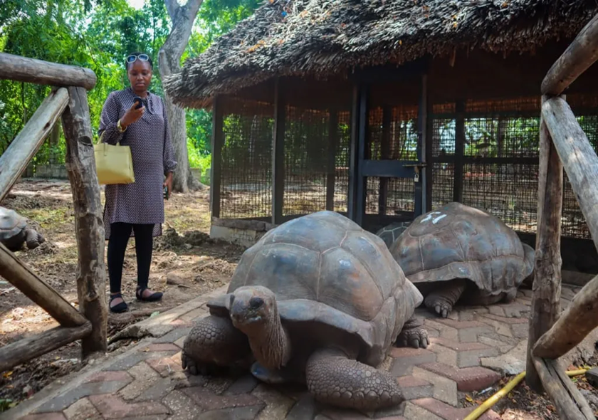 Full day Spice Farm, Prison Island & Stone Town