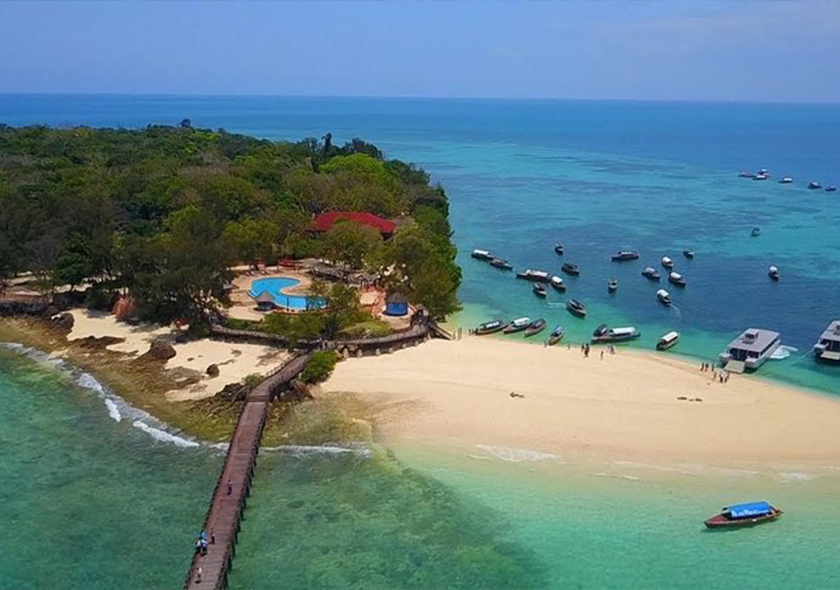 Full day Jozani Forest, Spice Farm & Prison Island