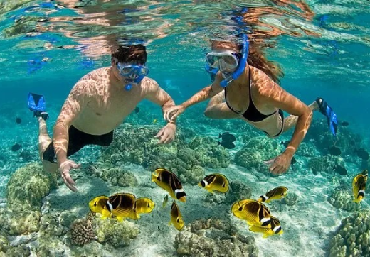 Blue Lagoon Snorkeling