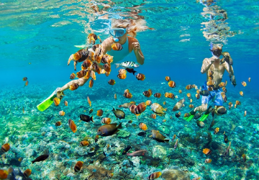 Mnemba Island Snorkeling Tour