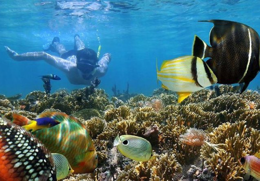 Mnemba Island Snorkeling Tour