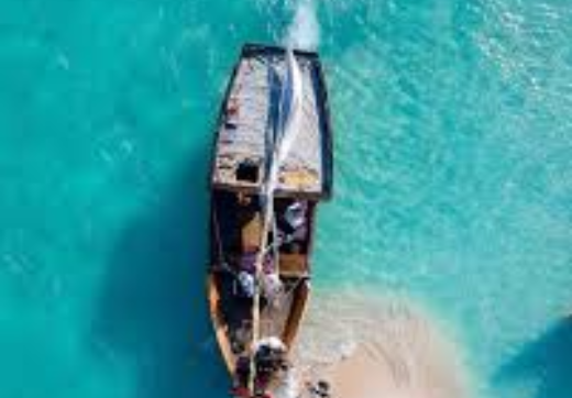 Mnemba Snorkeling, Nungwi Turtles & Sunset Dhow in Kendwa Beach
