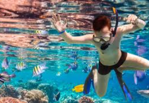 Prison Island & Bawe Snorkeling