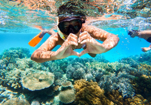 Bawe Island Snorkeling