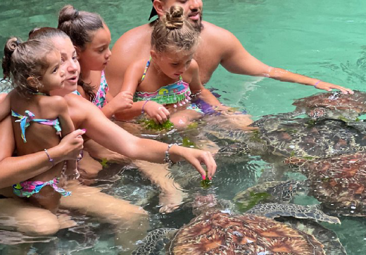 Nungwi Beach: Turtles & Private Sunset Dhow Cruise