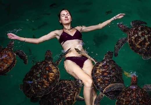 Nungwi Beach: Turtles & Private Sunset Dhow Cruise