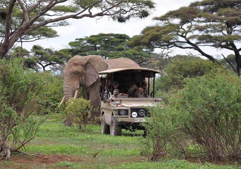 Rongai Route - 9 Days Kilimanjaro Climbing