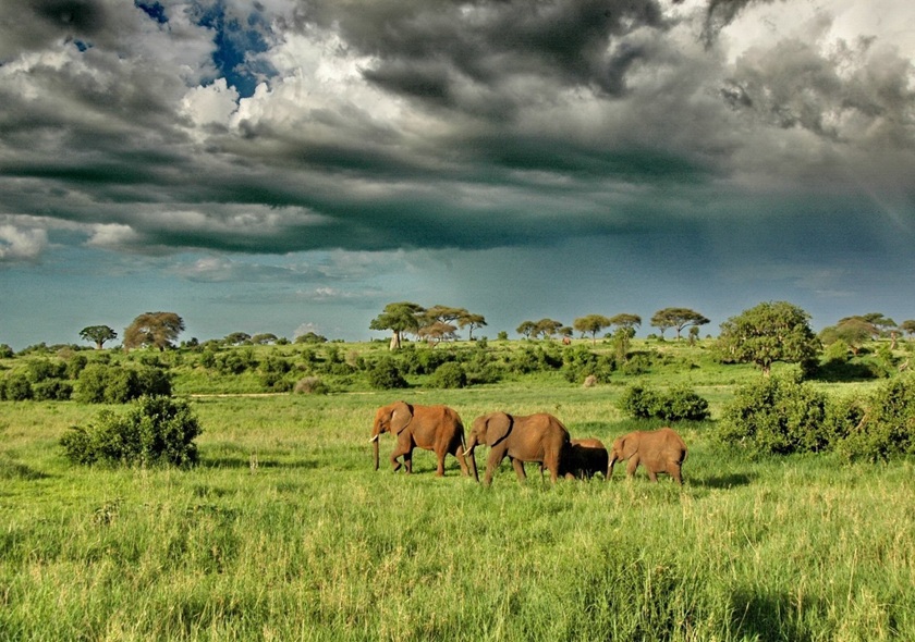 Northern Circuit Route - 8 Days Kilimanjaro Climbing