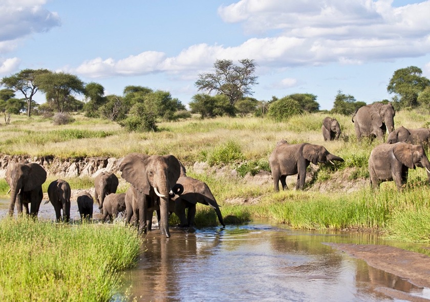 Lemosho Route - 9 Days Kilimanjaro Climbing