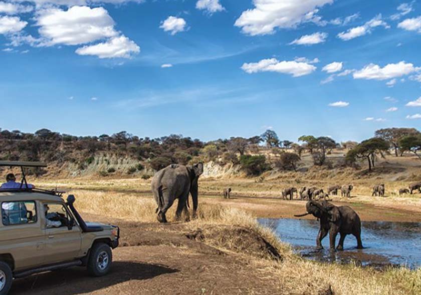 Mount Meru Wildlife Safari - 4 Days