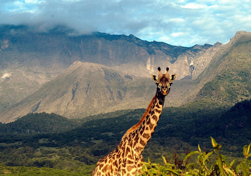 10-Day Great Migration, Culture & Acidic Lakes