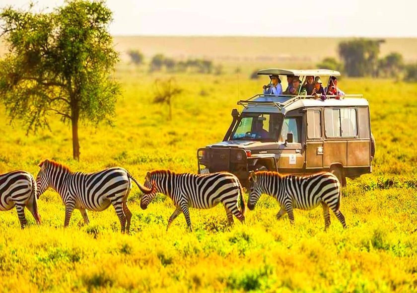 3-Day Fly in from Zanzibar Tarangire, Crater & Manyara