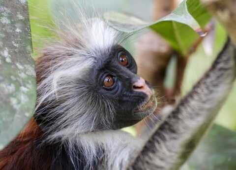 Best tours in Zanzibar