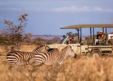 Best tours in Zanzibar