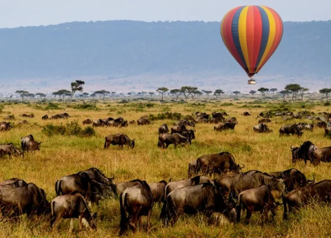 Top Things to Do in Zanzibar