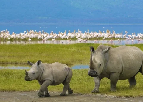 Top Things to Do in Zanzibar