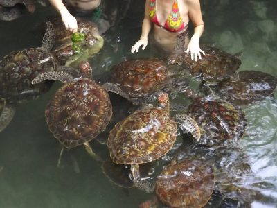 Nungwi-Cultural-Village-Tour-20