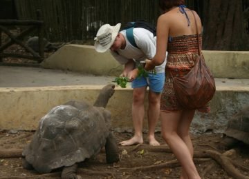 Best tours in Zanzibar
