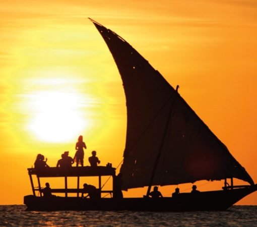 Best tours in Zanzibar